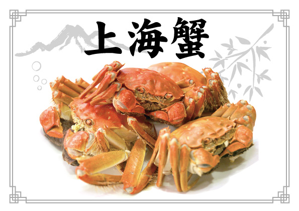 上海蟹A4チラシ